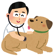 犬　診察