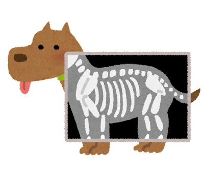 心臓病| かみのげ動物病院｜世田谷区 上野毛駅2分の動物病院