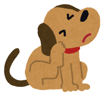 皮膚病 皮膚トラブル かみのげ動物病院 世田谷区 上野毛駅２分の動物病院