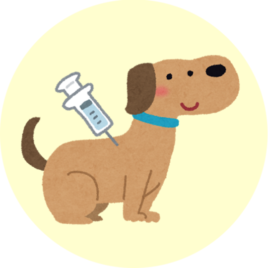 最新犬と猫の免疫学―疾患の予防・治療とそのメカニズム（傷みあります） 寄生虫予防は通年が安心！犬・猫のフィラリア・ノミ・ダニ対策の