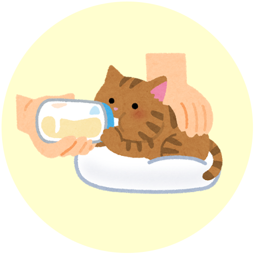 診療案内 かみのげ動物病院 世田谷区上野毛