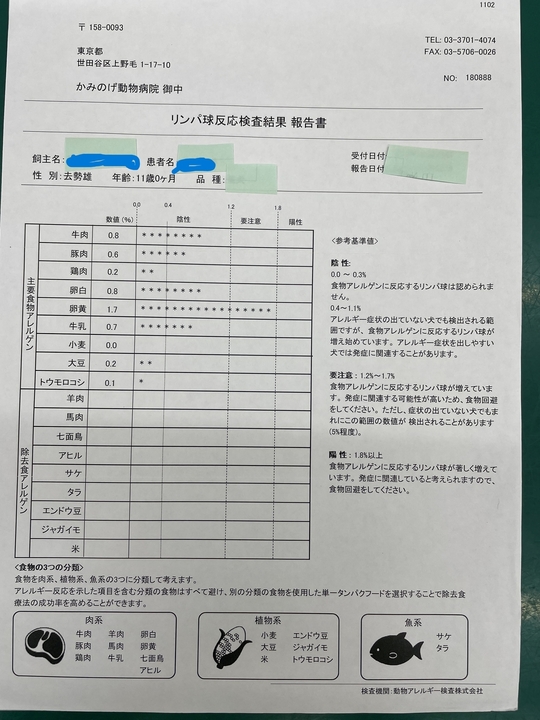 アレルギー検査 かみのげ動物病院 世田谷区 上野毛駅2分の動物病院 アレルギー検査 かみのげ動物病院 世田谷区 上野毛駅2分の動物病院