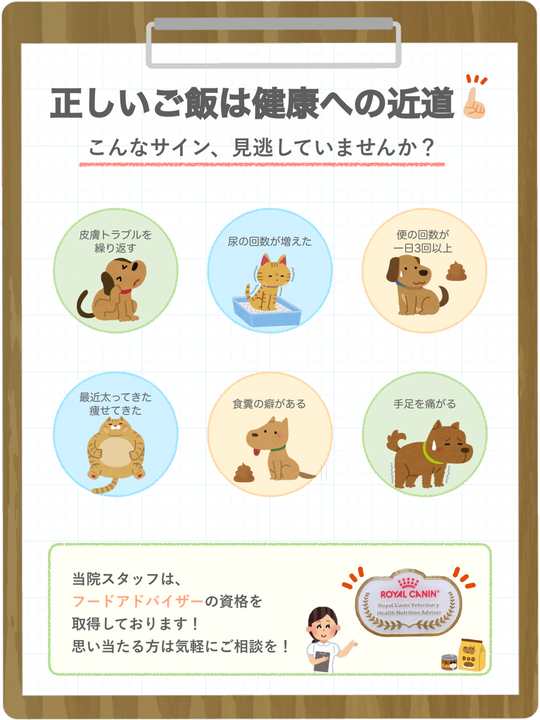 ペットフードのご相談 かみのげ動物病院 世田谷区 上野毛駅２分の動物病院